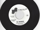 70’S SOUL 45-THE INTRIGUES-FLY NOW-PAY LATER-JANUS-DJ