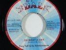 Tony Tuff & the Revolutionaries 