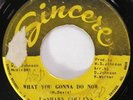 LASHAWN COLLINS What You Gonna Do Now Sincere Northern Soul Funk 45 HEAR