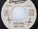 SHIRLEY J. SCOTT Goose Pimples Stephanye WLP Promo Northern Soul 45 HEAR