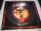 ENFORCER INTO THE NIGHT PICTURE LP skull fist white wizzard steelwing striker