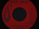 NETO PEREZ: El Camino Tu Vida / Toma Esta Flor 45 (dj, slight warp dnap) Latin