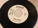 Rare Terry Warren It’s Written All Over Your Face RIC TIC Pop Teen Promo 45 Hear