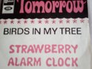 STRAWBERRY ALARM CLOCK  Tomorrow + birds in my tree
