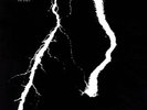 White Noise - An Electric Storm Vinyl LP Island NEW