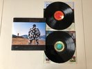 Pink Floyd - Delicate Sound Of Thunder - UK 1st Press LP