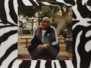 FREDDIE GIBBS MADLIB Pinata LP Vinyl NEW 2016