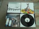 SHELLAC EXCELLENT ITALIAN GREYHOUND 2007 UK PRESS 12