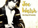 Joe Walsh - King Of Comedy Vinyl Maxi (2) Parachute NEW