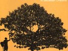 Jack Johnson - In Between Dreams LP Vinyl NEW