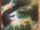 Pink Floyd – A Saucerful Of Secrets – Progressive-Psych Rock Import Vinyl LP
