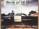 Visitor Genuine Double Vinyl Neil Young Promise Real Ships Worldwide Record New