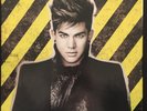 Adam Lambert Trespassing Box Set - Vinyl Double Album, CD, 6 posters Sealed RARE