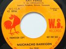 RAY PEREZ Y SU ORQUESTA MUCHACHO BARRIGON / TODO DE MI 45 HEAR PROMO