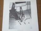 PJ HARVEY DRESS - RARE 12