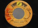 Ronnie Davis - I will never give it Up Black Ark Upsetters Lee Perry