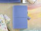 Webster's Pages Periwinkle Travelers Color Crush Planner