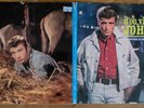 Johnny HALLYDAY 25cm 