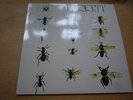 Syd Barrett Barrett Vinyl LP
