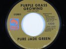 Garage Psych 45 PURE JADE GREEN Purple Grass Growing CRAZY HORSE VG+ HEAR