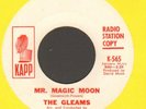 GIRL GROUP / R&B DOO WOP 45 - GLEAMS 