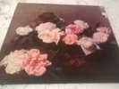 New Order ?– Power Corruption & Lies LP UK 1st Factory ? FACT 75