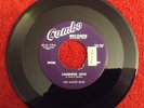 1956 DOO WOP R&B 45 THE NATIVE BOYS Laughing Love/Valley Of Lovers COMBO 119