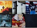 Ryan Adams Vinyl LP Bundle - Gold, Cold Roses, 29, Follow The Lights, Prisoner