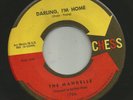 DOOWOP R&B bw/ ROCKER- MANDELLS-   DARLING IM HOME  -HEAR - 1961 CHESS
