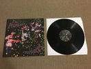 Murlocs Loopholes Vinyl Flightless King Gizzard