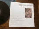 The Icicle Works(Vinyl 45) 1984 BEGGARS BANQUET IN MINT CONDITION