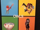 Owls - s/t (VG+ Orange Vinyl, First Pressing; Cap'n Jazz)