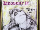 Dinosaur Jr. ?– You're Living All Over Me - SST Records ?– SST 130 - NM/EX