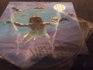 NIRVANA Nevermind vinyl LP unplayed PICTURE DISC