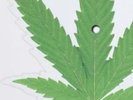 Cheech & Chong Up In Smoke Marijuana Shaped Pot Leaf Picture Disc Pic Vinyl RSD
