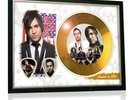 Pete Wentz Fall Out Boy Flag Style Signed Gold Disc Display