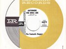 FANTASTIC BAGGYS - Imperial 66072 - Anywhere the Girls Are- VG+ SURF DJ 45 w/slv