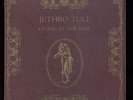 VINYL LP Jethro Tull - Living In The Past 2LP Chrysalis green label w/ booklet