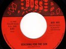 HEAR FLORIDA 60s MOODY GARAGE 45 - RAVENS - REACHING FOR THE SUN/THINGS WE SAID