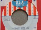 Exc.Cond.THE CHERRY SLUSH I Cannot Stop You USA 895 Michigan Garage Rock 1968 45