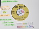 Northern Soul - THE DISTRICTS - ONE LOVER 