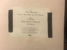 Babyshambles - The Blinding EP 12” Vinyl