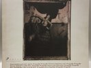 Pixies Surer Rosa vinyl LP 4AD 1988 indie