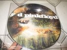 picture disc 33t lp pink floyd