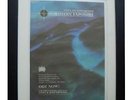 SASHA+DIGWEED+Northern Exposure+POSTER+AD+ORIGINAL 1996+FRAMED+FAST GLOBAL SHIP