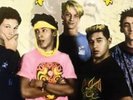 Powell Peralta The Search for Animal Chin Vinyl RSD Tony Hawk Bones Brigade
