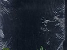 Dr. Dre - 2001 '99 2xLP US ORG  Snoop Dogg Nate Dogg Kurupt