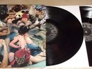 Panda Bear Person Pitch LP  VG++NM-