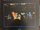 NEW RACE - THE FIRST AND THE LAST LP RADIO BIRDMAN STOOGES