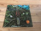 DRAGONFLY dragon fly RARE US HARD FUZZ PSYCH GARAGE MONSTER megaphone 1st LP